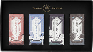Guitar Taisho Roman Haikara Ink 4-Color Set