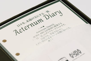 Aeternum Diary / AURA ARCA