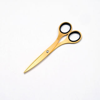 ALLEX Office Scissors Titanium Coated S-165T / Hayashi Cutlery