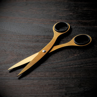 ALLEX Office Scissors Titanium Coated S-165T / Hayashi Cutlery