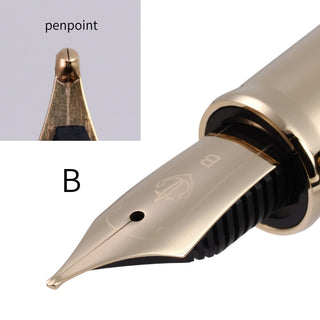 1911 Casual L Stable Gold Trim Fountain Pen / Sailor Fountain Pen