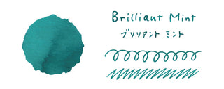 Guitar Taisho Roman Haikara Ink