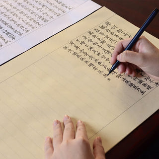 Adult Education Shakyo English Edition / YAMAMOTO PAPER
