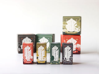 Guitar Taisho Roman Haikara Ink 4-Color Set